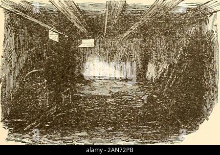 The campaign of LieutGenJohn Burgoyne : and the expedition of LieutColBarry StLeger . Present (1877) appearance of the house, in the cellar of whichMrs. Riedesel stayed during the cannonade.. The Cellar. g6 Campaign of General John Burgoyne. courtesy, while, perhaps, he was being killed, would beeven vet more painful than all she was then forced tosuffer. The greatest suffering was experienced by thewounded from thirst, which was not relieved until a sol-diers wife volunteered to bring water from the river.This she continued to do with safety, the Americansgallantly withholding their fire when Stock Photo