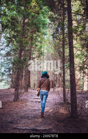 Woman wearing a brown leather jacket and green beret walking through a forest Stock Photo