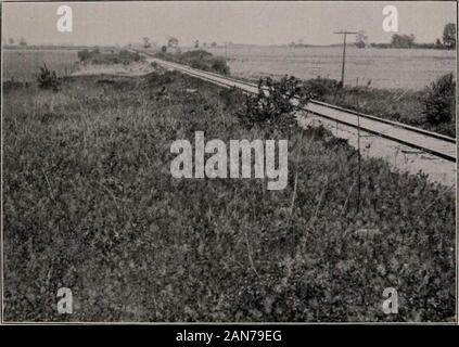 Bulletin . Fig. 1. Station I. Looking northeast over the north portion of the station.. Figr. 2. Station I. Looking northeast over most of the station from the south end of it. Plate LXVI Stock Photo