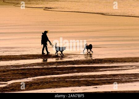 A dog walker and two pet dogs walking on the shoreline silhouetted by the intense golden light of a setting sun on Fistral beach in Newquay in Cornwal