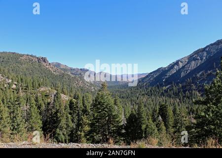 Stanislaus National Forest in California Stock Photo
