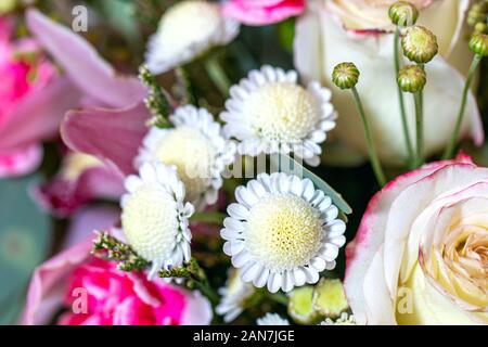 Pink and white flower. Beautiful flowers background for wedding scene. Stock Photo