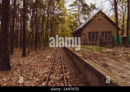 Abandones Railway Station in Forest, Railroad tracks in the forest, colorful, warm shadows