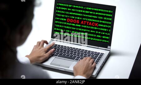 Ddos attack on laptop monitor, woman working in office, cybercrime protection Stock Photo