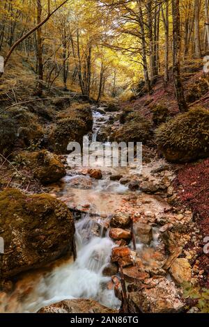 Autumn colors in Foreste casentinesi national park, Italy Stock Photo