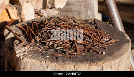 rusty nails on a wooden log Stock Photo