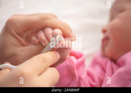 Baby getting fingernails cut while sleeping by his mother with scissors. Nursing a child. Stock Photo