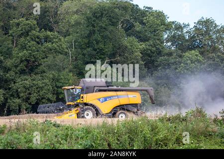 Side view of isolated UK combine harvester busy at work in the English countryside. Arable farming in the UK working with modern farm machinery. Stock Photo