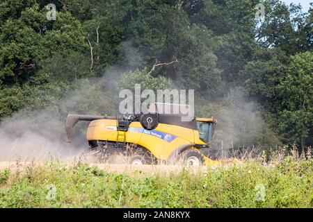 Side view of isolated UK combine harvester busy at work in the English countryside. Arable farming in the UK working with modern farm machinery. Stock Photo