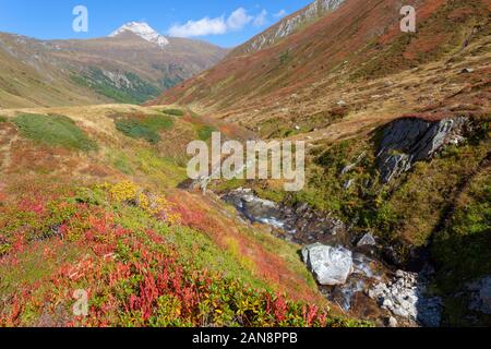 The upper course of the Mur (Mura) River in Austrian Alps Stock Photo