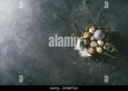 Quail Easter eggs in nest Stock Photo