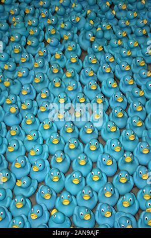 Blue Rubber Ducks Stock Photo
