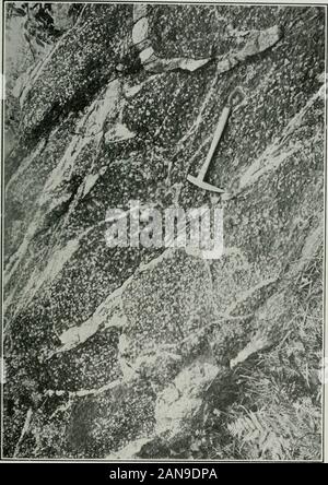 Annual report . r east. At times the rock is more or less massive, but often itis altered to a sericite schist, showing glistening flakes of sericite. Under the micro-scope several thin sections, Nos. 371 to 375 inclusive, show the rock to consist of quartz,feldspar, sericite and small amounts of calcite. An old stone mill, originally a grist-mill, stands near the bridge crossing the Moirariver al the point where it leaves Moira lake. Several hundred yards northeast of themill the felsite schist has been crushed, forming an autoclastic conglomerate. A composite sample of the felsite schist, co Stock Photo