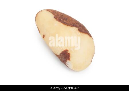 Studio shot of a peeled Brazil Nut isolated on a white background Stock Photo