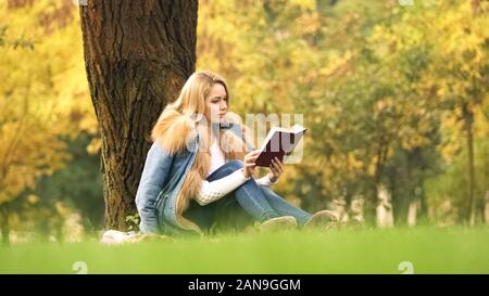 Pretty woman reading interesting book, sitting under tree, spending leisure time Stock Photo