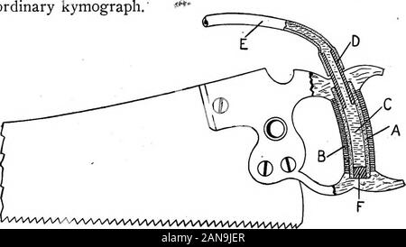 The educational meaning of manual arts and industries . different stages of theprocess of gaining such control. The Dynamometric Sawhandle.—After considerableexperimenting a sawhandle was constructed involvingthe principle of the hand dynamometer. Tlie essentialfeature of this handle is that the part grasped by thehand is made of a heavy piece of rubber tubing suffi-ciently reinforced to secure a satisfactory balance .be-tween the degree of strength and rigidity necessary toresist the push and pull effort of sawing, and the degreeof sensitiveness to the gripping of the fingers. 82 MANUAL ARTS Stock Photo