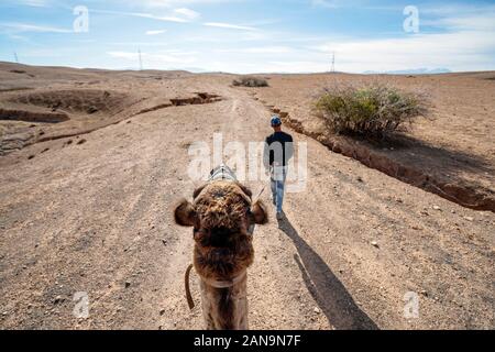 Riding a dromedary camel on Agafay desert with local guide, Marrakech, Morocco Stock Photo