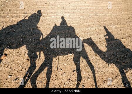 Shadows of dromedary camel caravan on the desert Agafay, Marrakech, Morocco Stock Photo