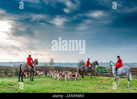 The Belvoir Hunt meeting in the Vale of Belvoir at Long Clawson, Leicestershire, England UK