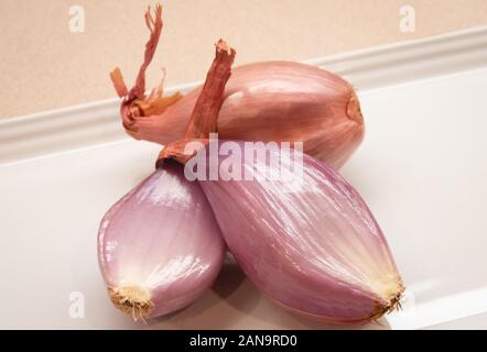 Hippeastrum Stock Photo