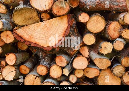 Full frame of firewood, side view, Mediterranean varieties Stock Photo