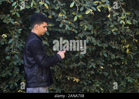 Young man watching his phone in the neighborhood street with leaves background Stock Photo