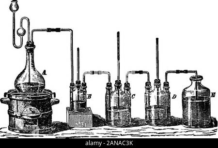 struttura del punto lewis per h2so4