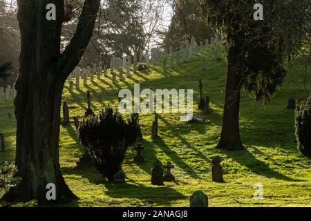 Aldershot Military Cemetery with graves of british and commonwealth servicemen and women, Hampshire, UK Stock Photo