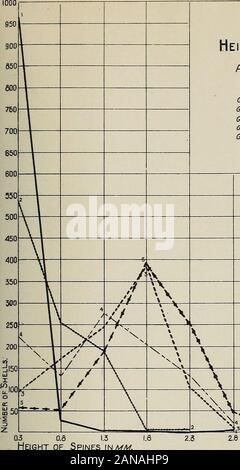 The variations and ecological distribution of the snails of the genus Io . EXPLANATION TO PLATES 14-17. (Height of S])ines.) Plattings of quantitative data to show the average height of spines, by groups, throughoutthe Tennessee River system.108. Plate 14 Height of Spines POWELL RIVER Groups 1—5 Group 2. 1.. ?, ?, Group 3. -..-.....„„ Group A Group &lt;5.««. .«. .^ .«. .*M 101 91 818877665544332 as o.a I Height of Spines 3.3 5.8 4.3 lOOOi 950 Stock Photo