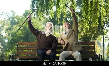 Two smiling senior men with canes raised up, happy life in old age, retirement Stock Photo