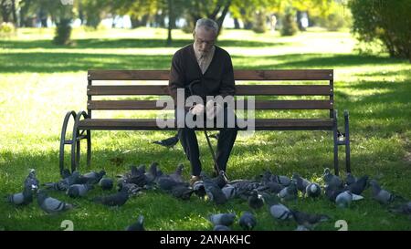 Calm old man sitting on bench in park and feeding pigeons, loneliness in old age Stock Photo