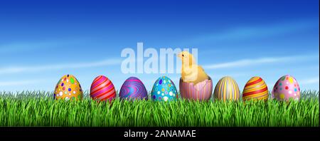 Easter egg hunt surprise as a yellow chick and decorated eggs with a baby bird inside an open decorated egg shell on a blue background. Stock Photo