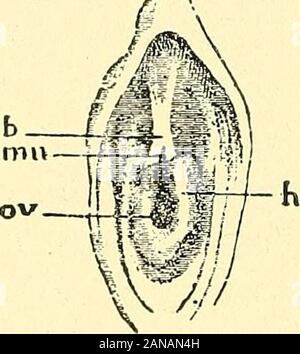 Paloma shaxsiy video