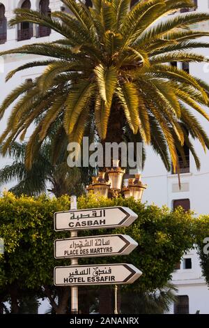 Algiers the white references white terraced buildings on and around the Promenade des Sablettes that give the city its iconic look. Algiers Algeria. Stock Photo