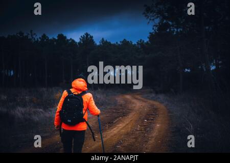 A Young man adventurer back shot with contrast orange jacket walking over path to jungle with gloomy sky under dramatic clouds Stock Photo