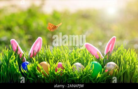 festive Easter card with colorful eggs in the green grass in the meadow with butterflies on a Sunny Sunday spring day Stock Photo