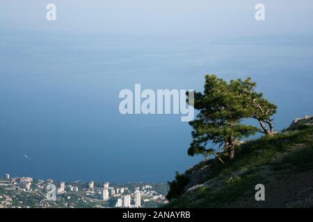 Alpine landscape. Lonely tree on the cliff of a large mountain. Sea view and small town. Stock Photo