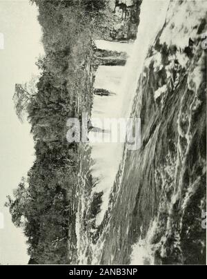 Diary of a tour in South Africa . RAPIDS ABOVE LEAPING WATER—VICTORIA FALLS. V.AAk^V MftOVOn -^AVKll VA^^KAv IV^fOftk ^.U^kVl. BRIDGE OVER THE ZAMBESI—HEIGHT, 1^0 FEET. Stock Photo