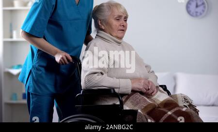 Medical worker taking care about upset senior lady in wheelchair, rehabilitation