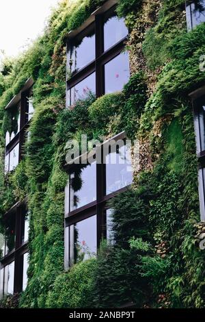 Green facade of the Museum du quai Branly Stock Photo