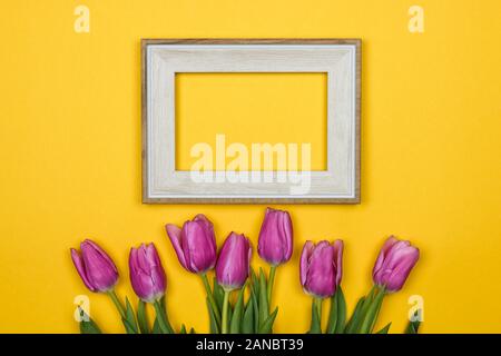pink tulips and a white empty frame on colour background Stock Photo