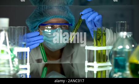 Scientist comparing plant samples in different liquids, preservative agent study Stock Photo