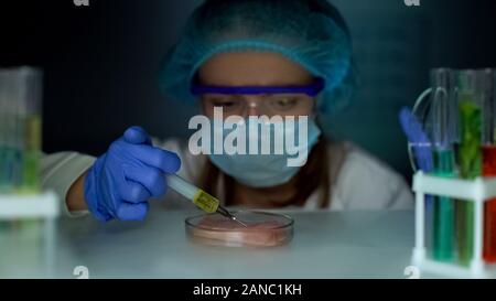 Researcher taking meat sample in petri dish from fridge and making injection Stock Photo