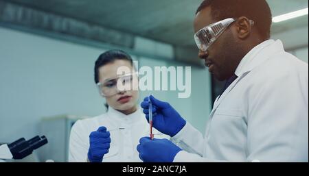 Close up of the Caucasian young woman and African American man in glasses doing blood test together in tubes in the laboratory room. Stock Photo