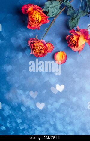 Dried Orange Roses Bunch Of Beautiful Faded Flowers On Blue Background With Heart Bokeh Stock Photo Alamy