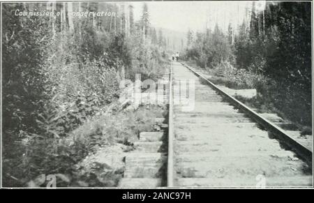 Forest protection in Canada, 1912-1914, by Clyde Leavitt . ial must be plowed or disced under the furrow,so as to make a good and efficient fire-guard. Where fire-guards have previously been constructed whichare not strictly in accordance with the above requirements, newfire-guards must be constructed which will conform to the specifi-cations. However, where fire-guards have already been constructedthis season at a distance of less than three hundred feet from thetrack but are otherwise according to the specifications hereincontained, such construction will be accepted for this yearsrequiremen Stock Photo