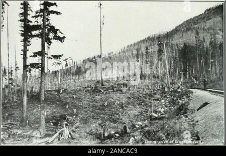 Forest protection in Canada, 1912-1914, by Clyde Leavitt . truc-tions of the Chief Fire Inspector and of the provisions of Regulation1 o (concerning the burning of inflammable material along rights-of-way),Regulation 14, (reporting and extinguishing of fires by regular em-ployees of railway companies), and of Section 297 of the Railway Act(clearing of rights-of-way). Under this arrangement, a number of theofficials of each of these organizations were appointed officers of theBoard, without additional compensation. The supervision of thiswork was handled by the superior field officers of each o Stock Photo