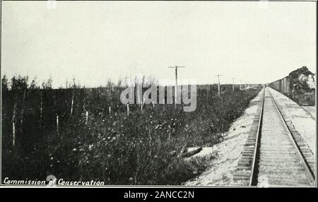 Forest protection in Canada, 1912-1914, by Clyde Leavitt . th, 1912. Improvements Over Previous Orders In this Order, the provisions of preceding orders relative to fire-protective appliances, the use of lignite, and the construction of fire-guards are, in substance, included, with the following additions:— Railways under construction are included in the scope of the Order,in addition to those under operation ; A more thorough inspection of fire-protective appliances by railwayemployees ; (Reg. 4) Provision for removing from service locomotives found defectiveas to fire-protective appliances, Stock Photo