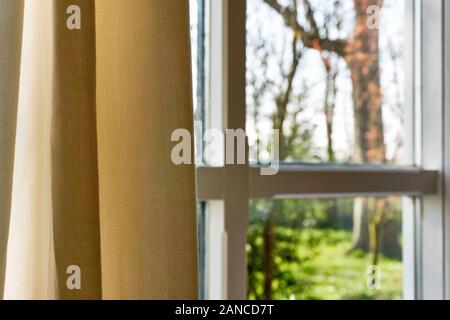 View at spring garden with tree and grass through window with curtain. Stock Photo