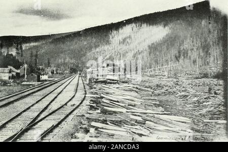 Forest protection in Canada, 1912-1914, by Clyde Leavitt . OLD BURNS, YAHK RANGE, WEST OF GOATFELL, B.C.Lower slopes restocking, upper slopes not restocking.. FIRE DANGER AND DAMAGE ADJACENT TO SAWMILL AND RAILWAY LINENote burned slopes and large accumulation of inflammable sawmill debris. RAILWAY FOREST FIRES to Alberta and Saskatchewan, and conditions were such that extensionto British Columbia was impracticable. The application of the British Columbia Government was based uponthe preliminary report of the Royal Commission of Inquiry on Timberand Forestry, which conducted investigations duri Stock Photo